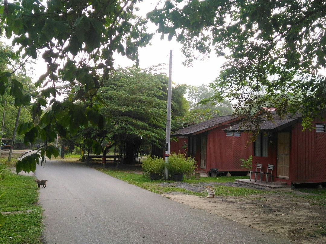 Pulau Santap-武吉丁宜高原必去景点