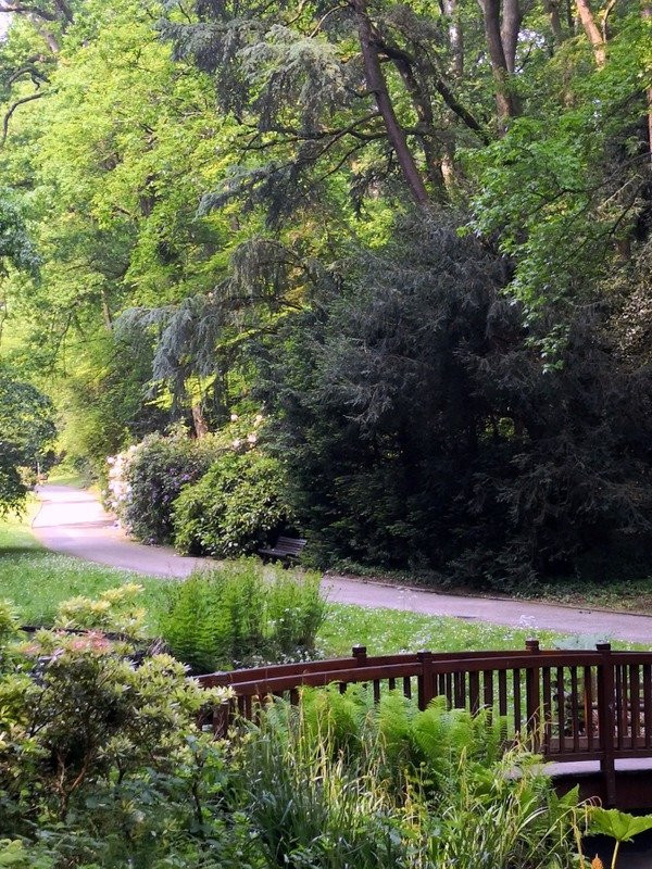 Parc de la Gaudiniere景点图片