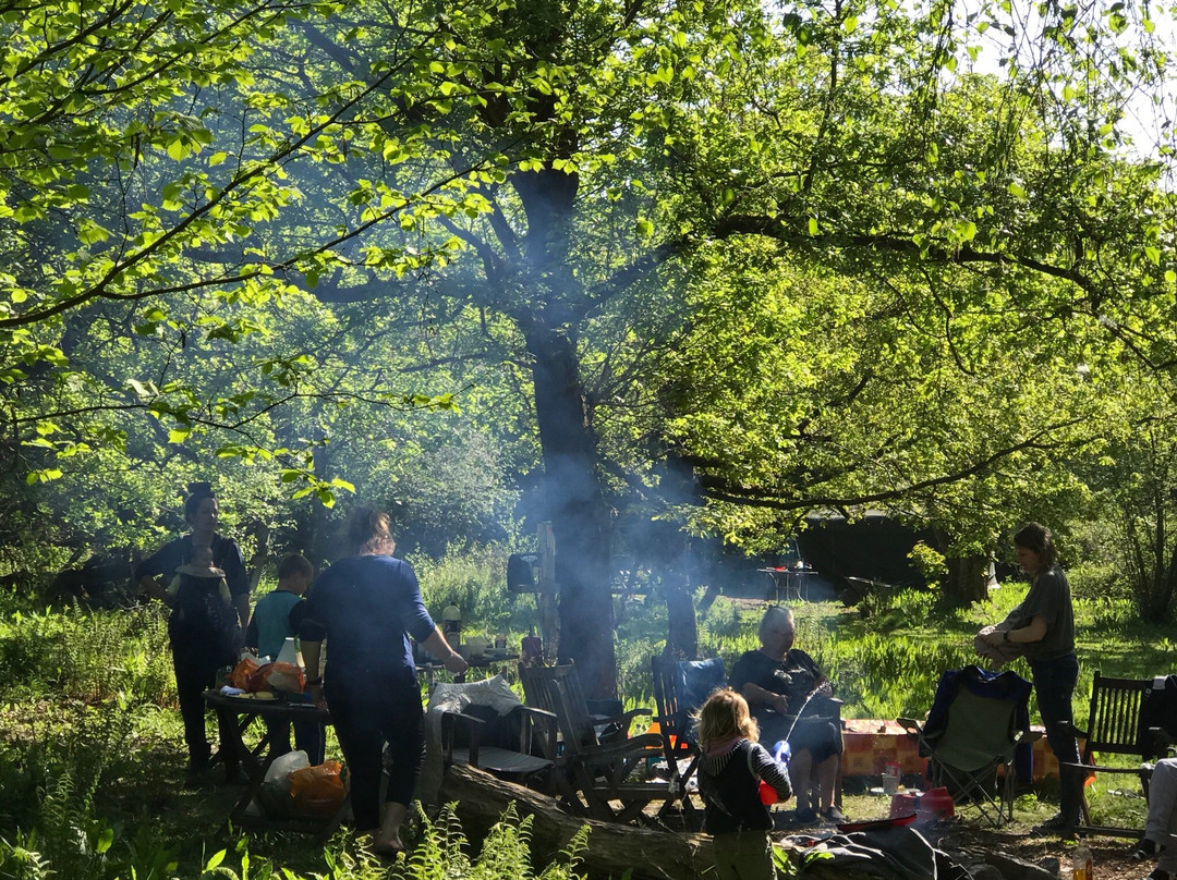 Wyld Wood