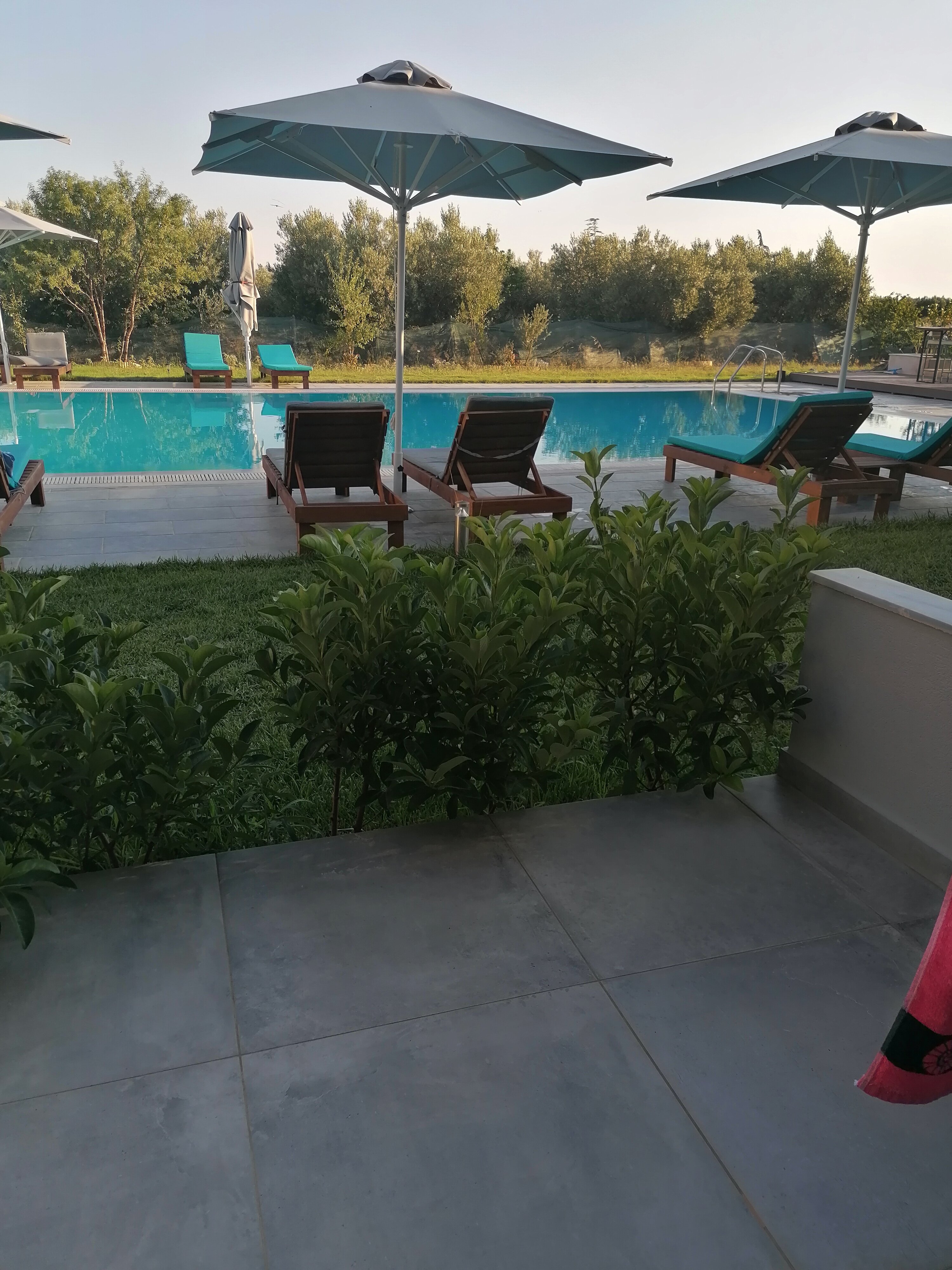 Calda Resort-官方