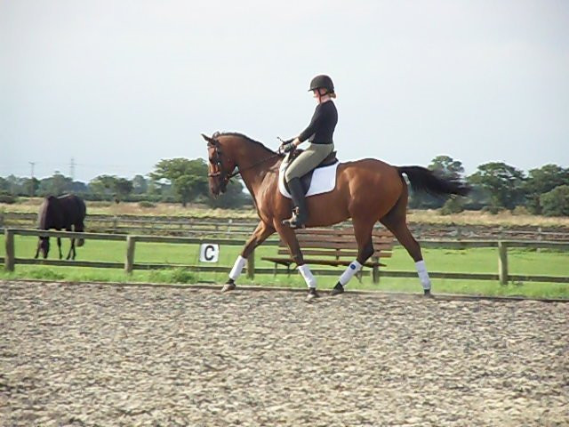 Howden Equestrian Centre-Howden必去景点