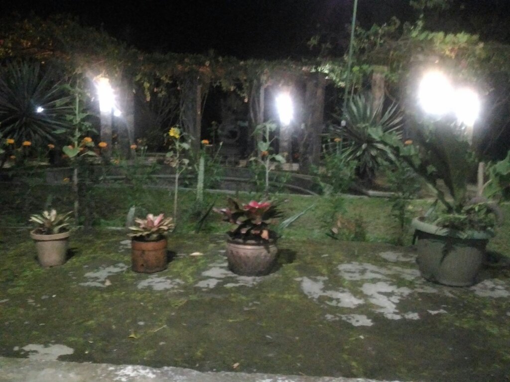 Arjuna View Villa-官方