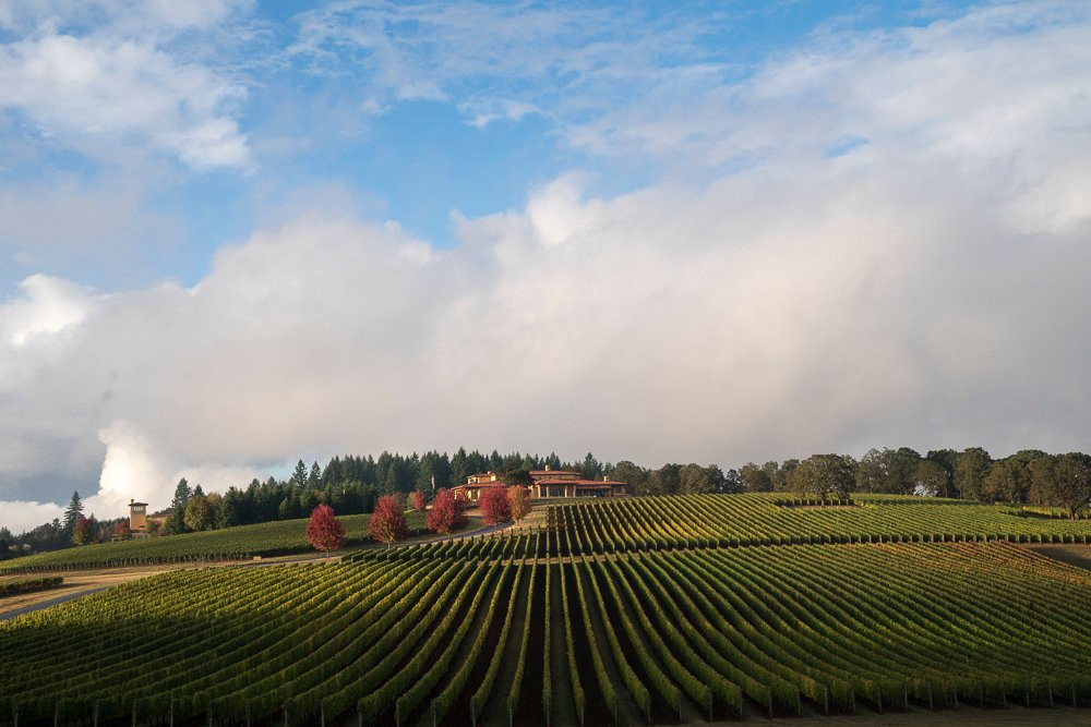 Domaine Serene Vineyards & Winery景点图片