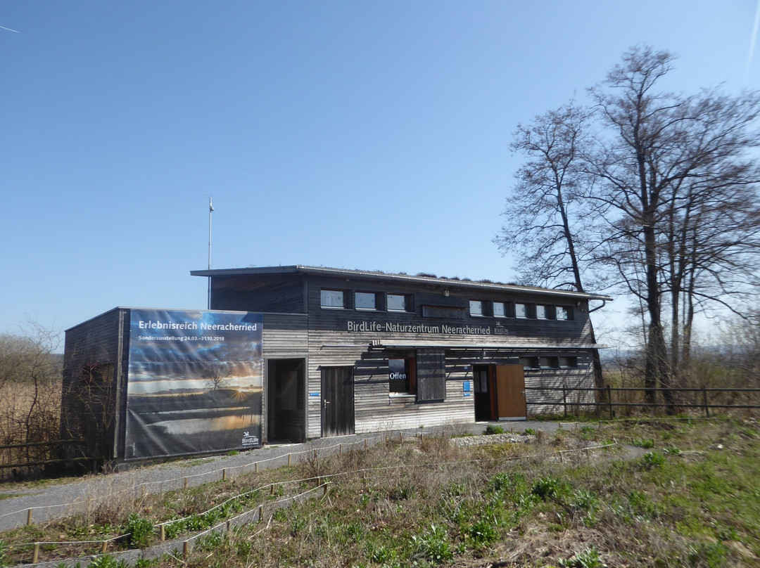 BirdLife-Naturzentrum Neeracherried-Neerach必去景点