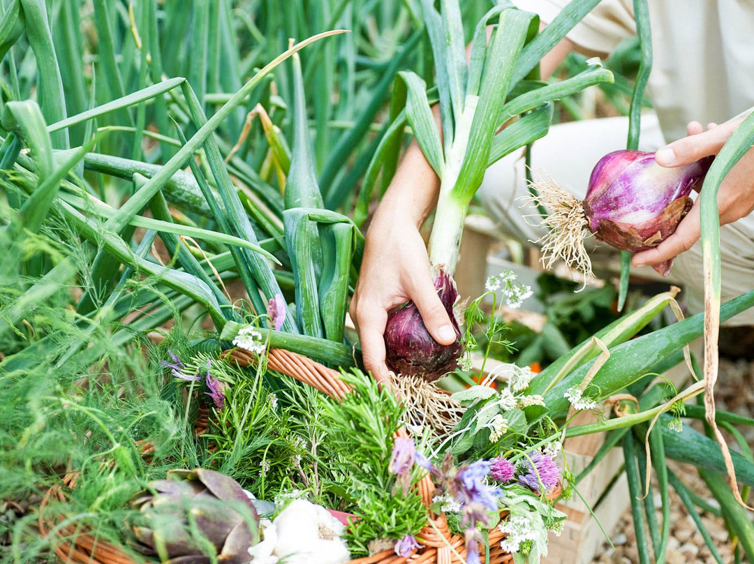 The Borgo Cooking School-丘斯迪诺必去景点