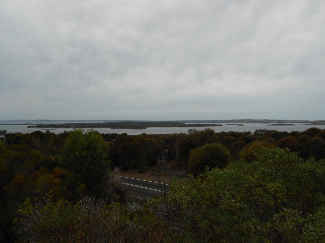 Cruising Kangaroo Island Kayak Tours-American River必去景点