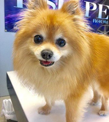 Escape Room Studios-威克瑟姆必去景点