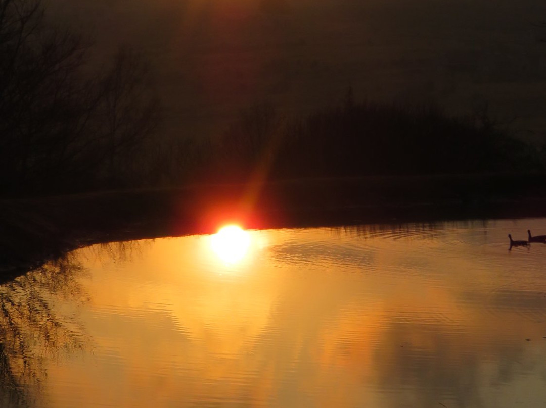 Walkersons Hotel & Spa主图