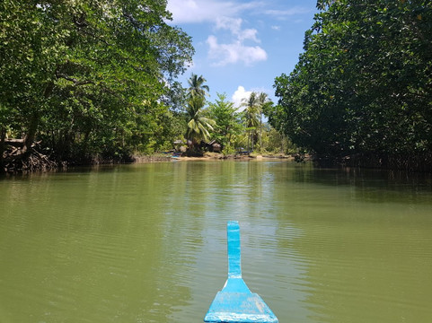 Mystic Mangrove Adventure-爱妮岛必去景点