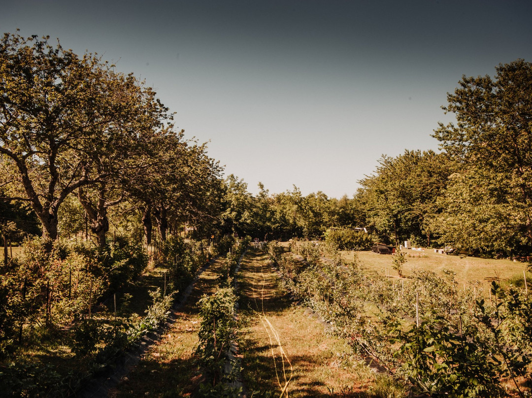 Azienda Agricola Antica via Romea-Fanano必去景点