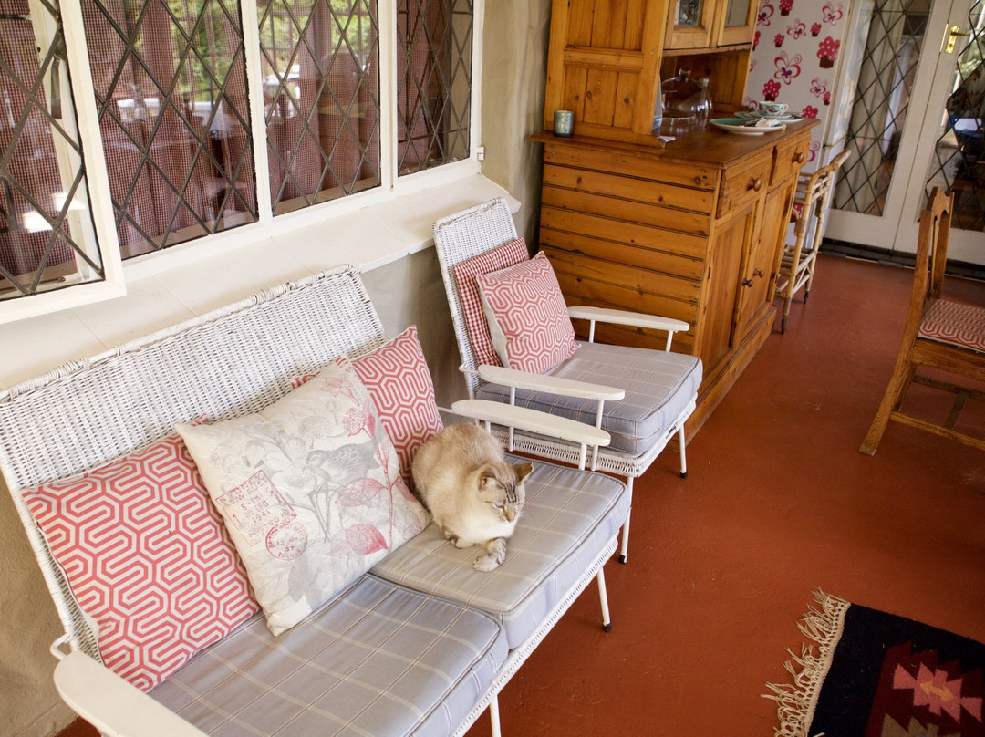 A Garden Suite主图