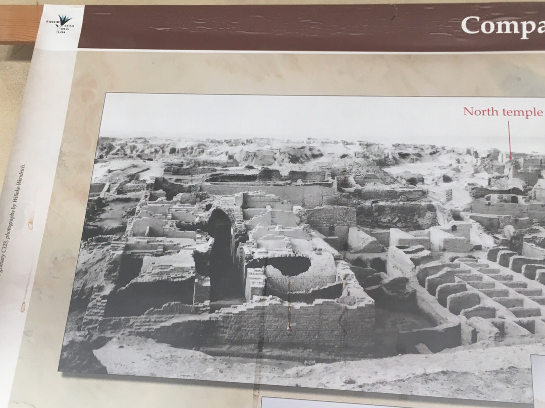 Kom Oshim Museum-法尤姆必去景点