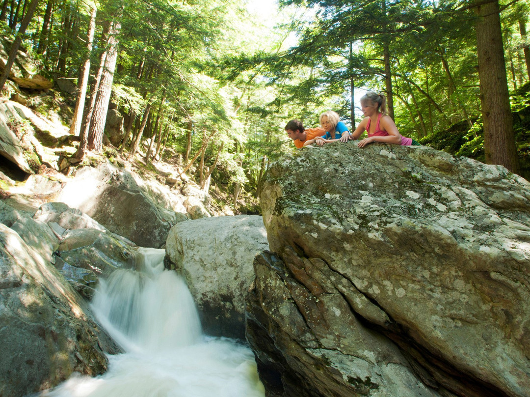 The Swallow's Nest主图