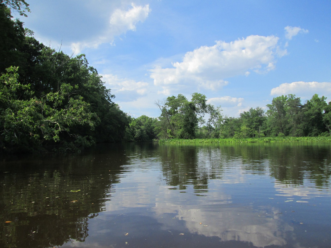 Rancocas State Park景点图片