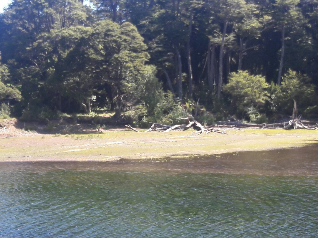 Lago Huechulafquen景点图片