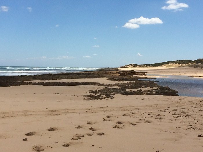 Fingal Beach景点图片