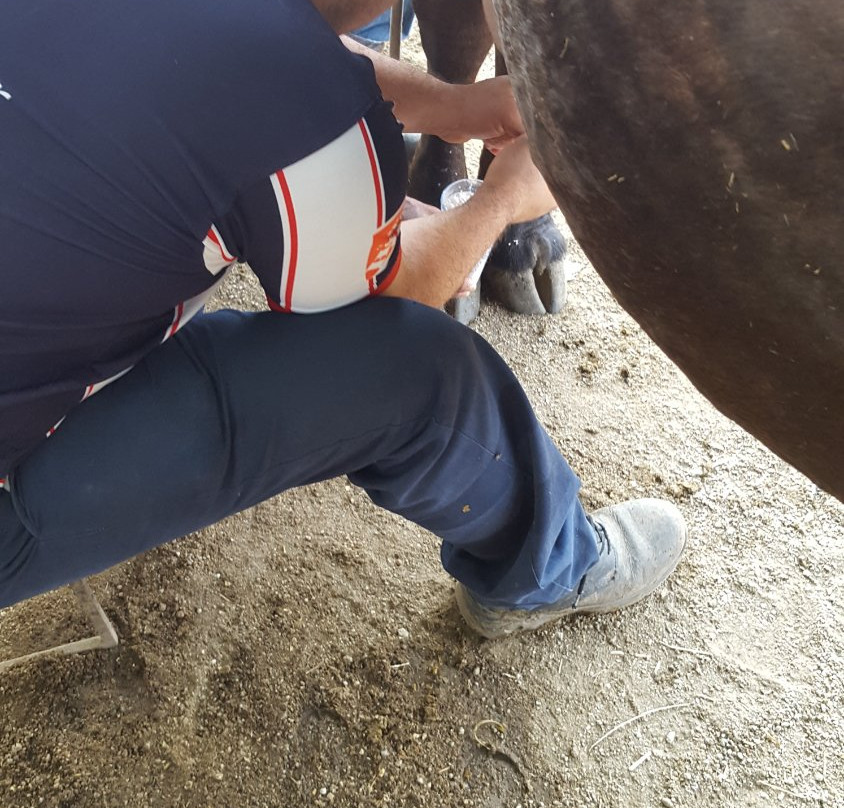 El Salto Waterfall-Colima必去景点