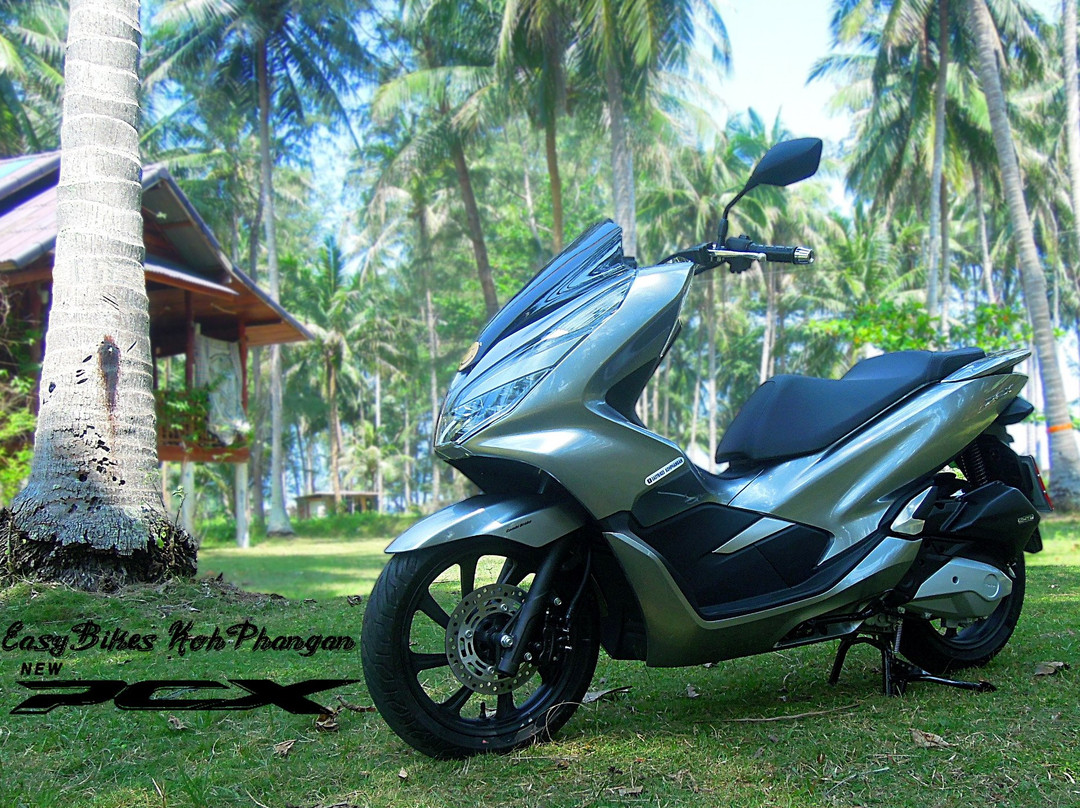 EasyBikes KohPhangan-帕岸岛必去景点