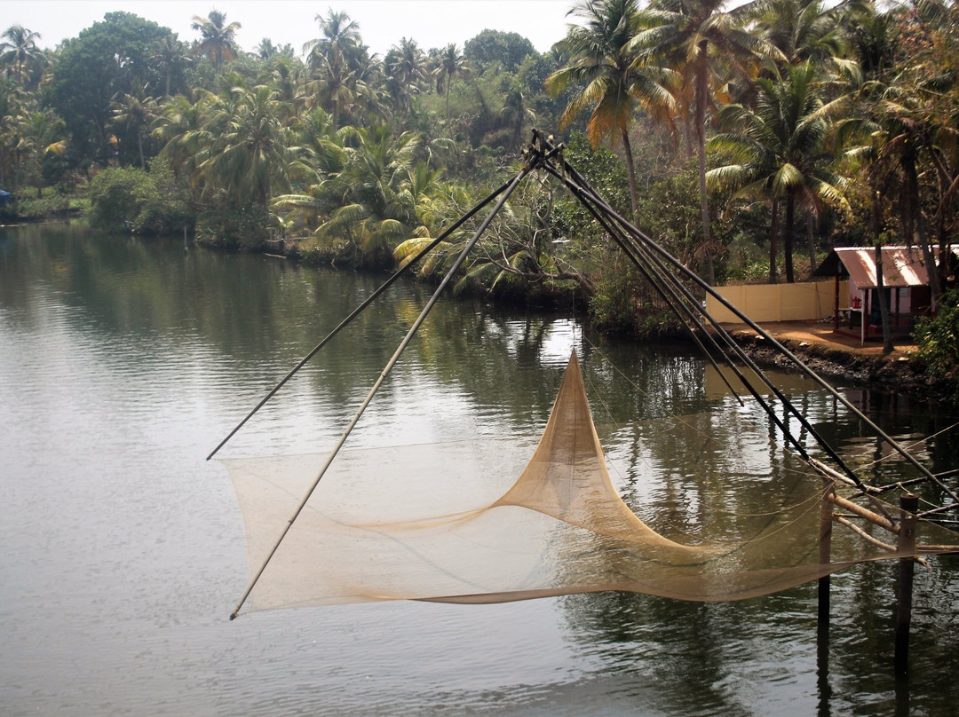 Taste & Tour Amazing Kerala景点图片