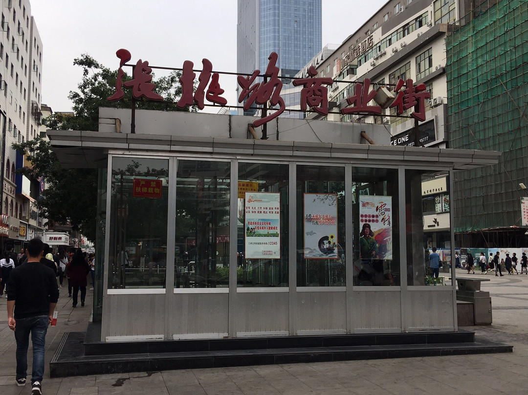 张掖路商业街景点图片