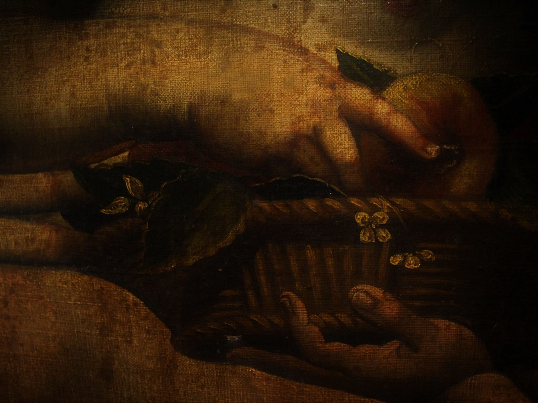 Museum of the Cathedral - Museo de la Catedral-苏克雷必去景点