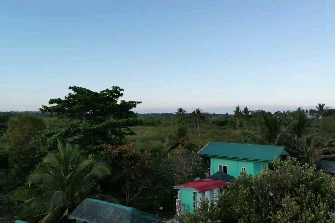 Ralph's Pensione House主图