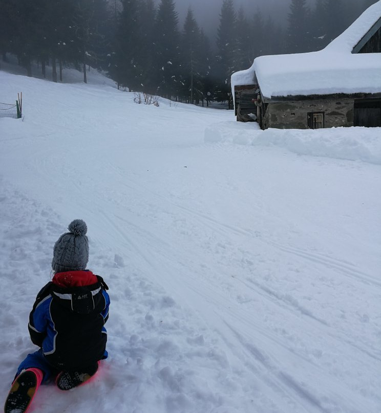 Albergo Al Cocul主图