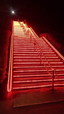 Ota Illumination-太田市必去景点