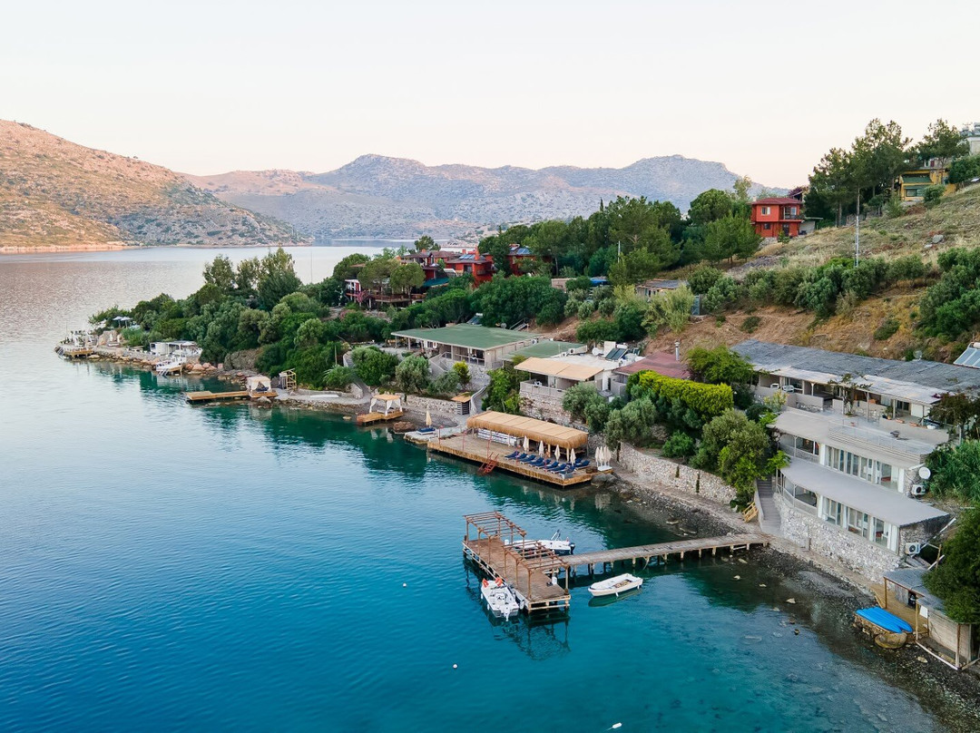 Avlana酒店住宿-Casa Daracia