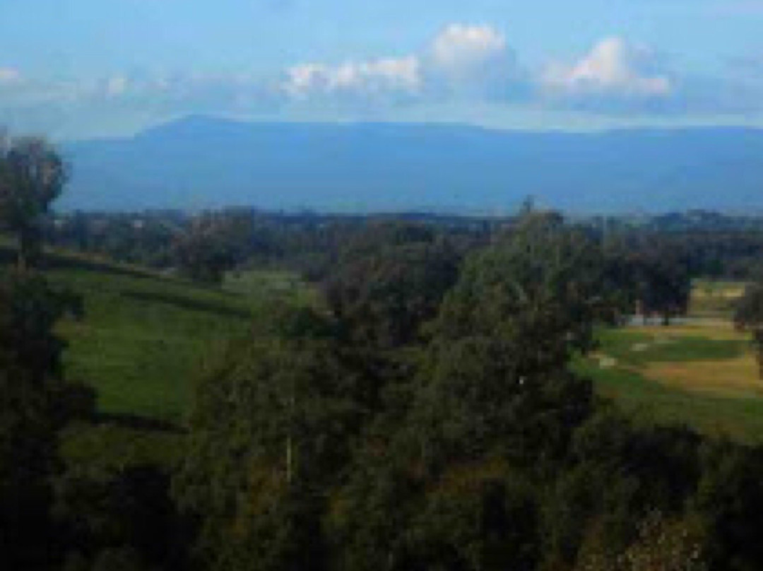 Mount Lofty景点图片