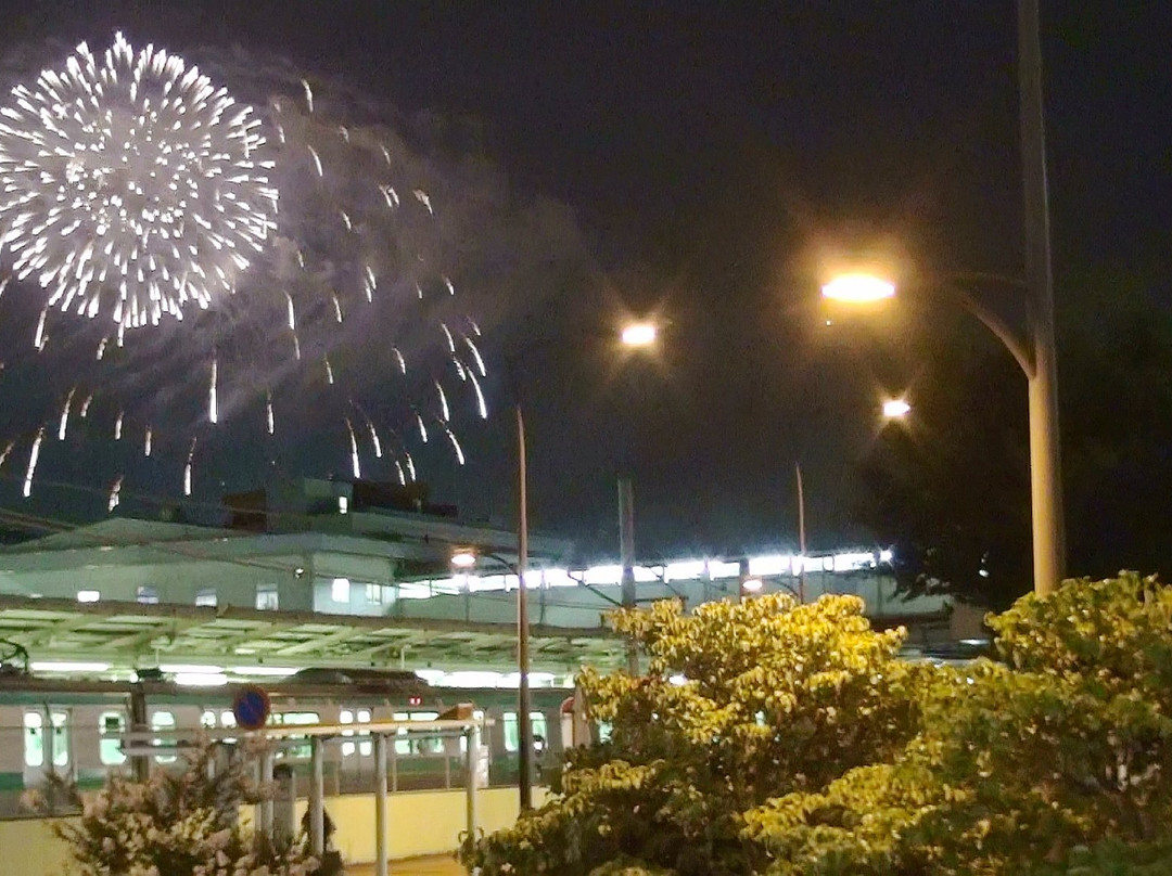 Teganuma Fireworks-柏市必去景点