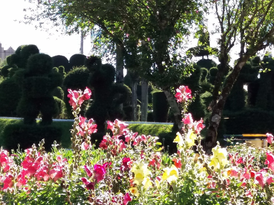 Praca Municipal Tancredo Neves景点图片