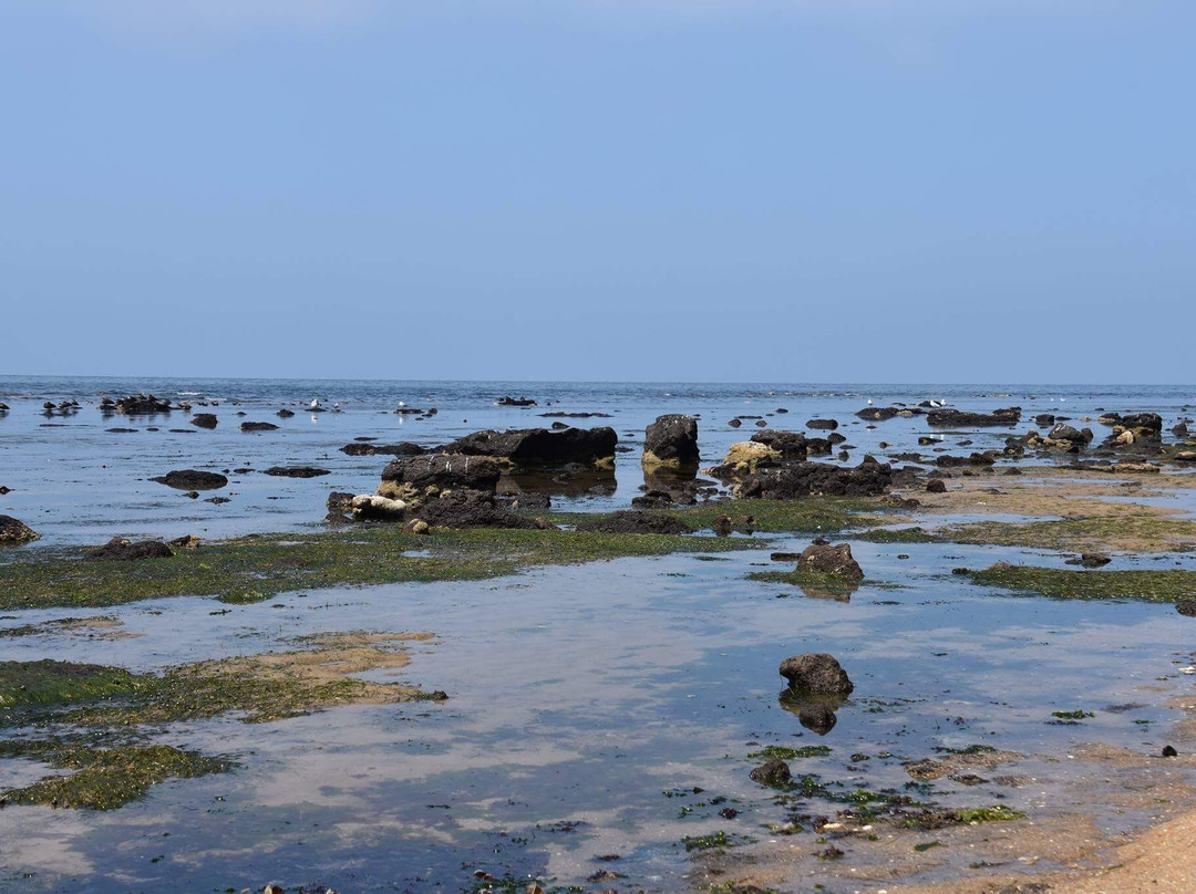 Point Cook Coastal Park景点图片