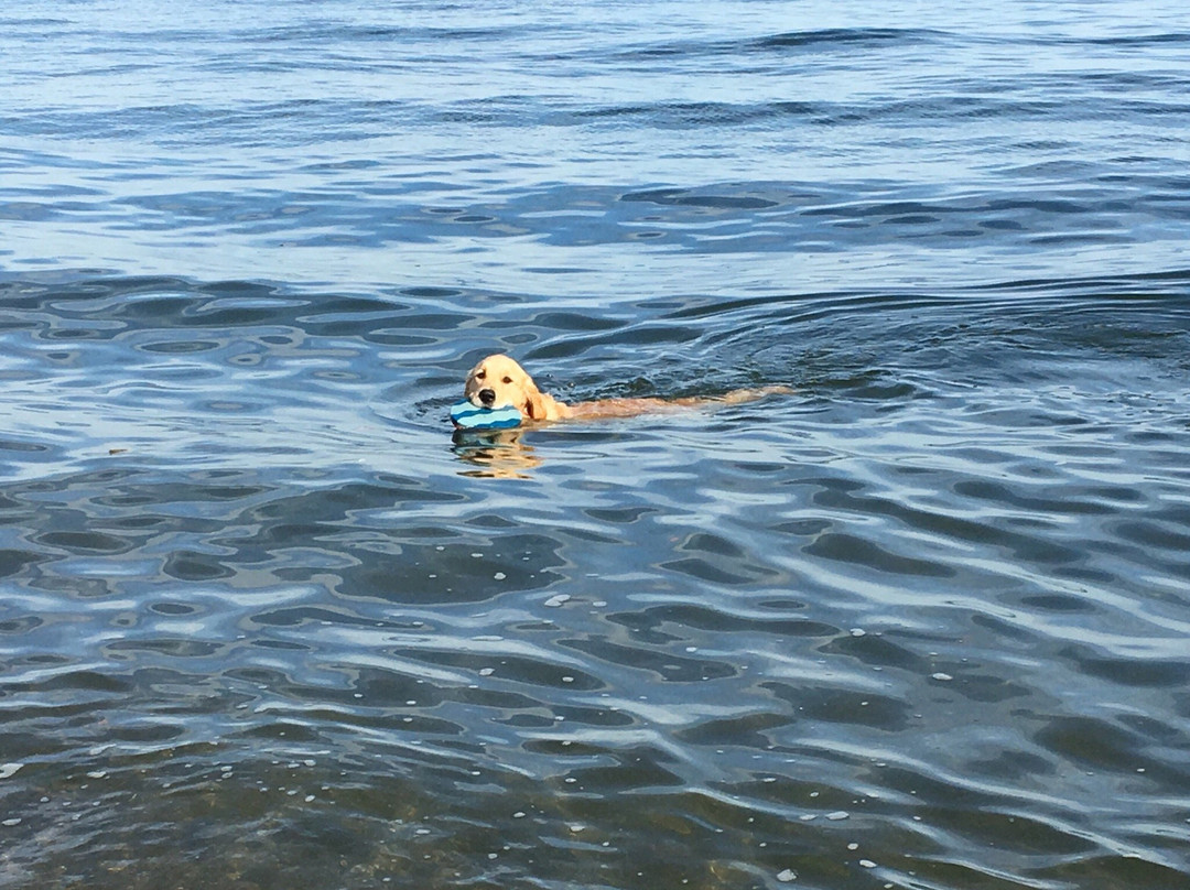 Jennings Beach-费尔菲尔德必去景点