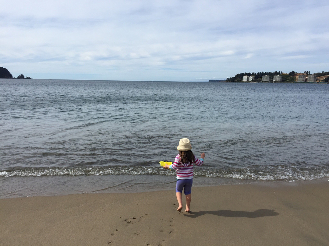 Playa de Dichato-Dichato必去景点