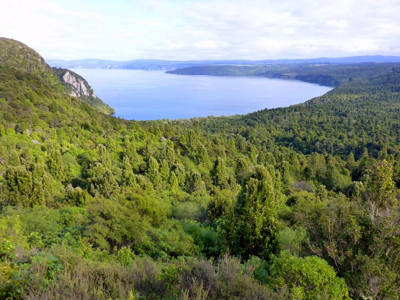 Great Lake Trail景点图片