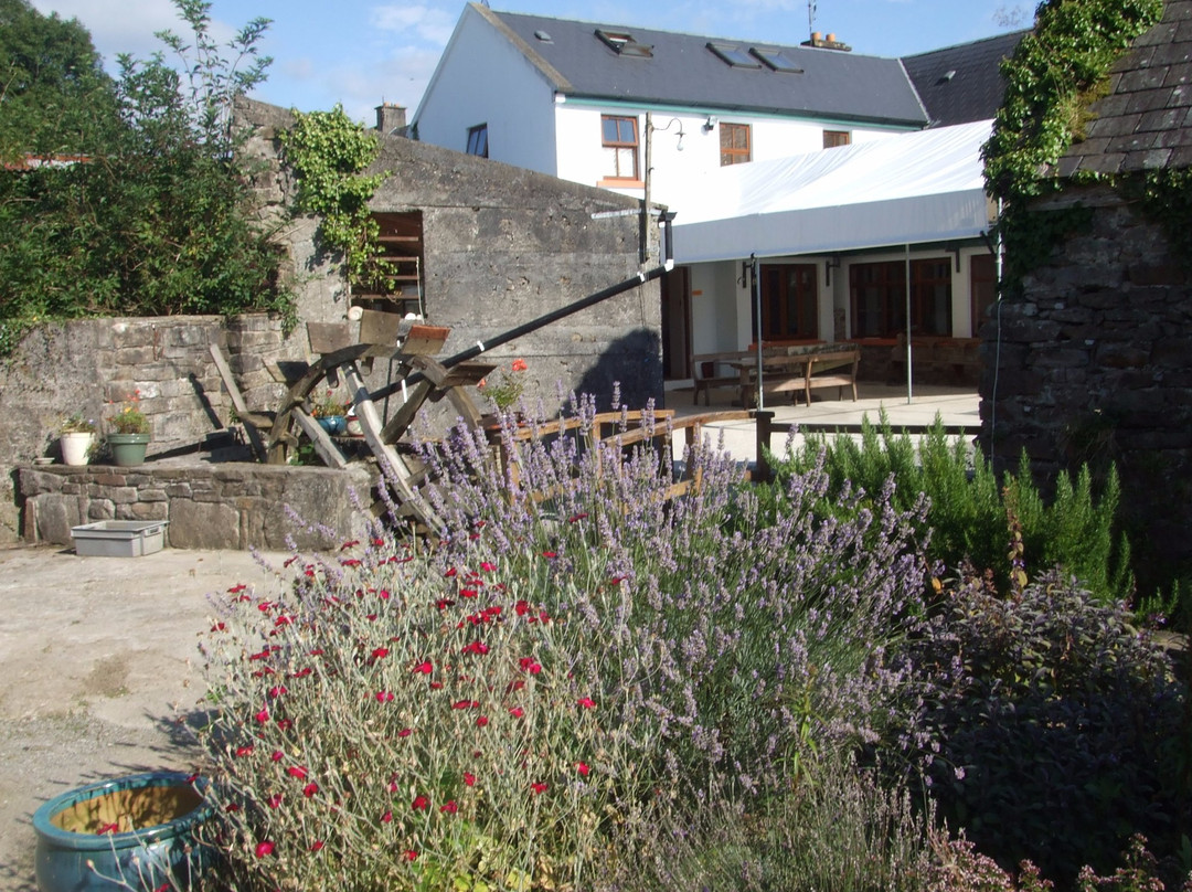 Clare Ecolodge