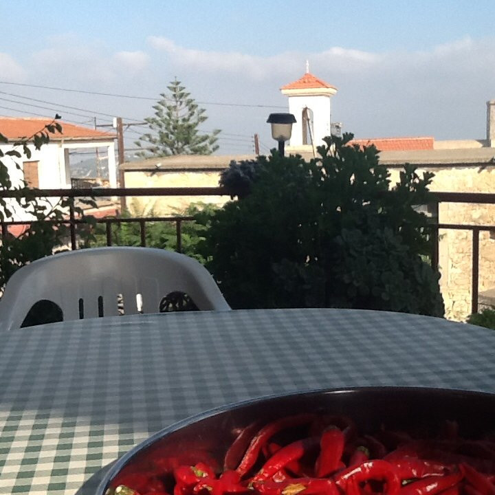 Pano Panayia餐馆和美食-Maro's Place