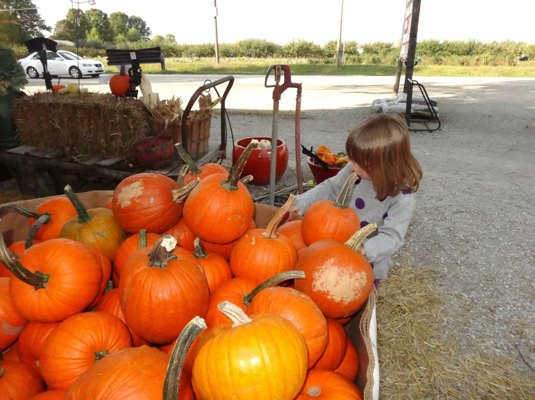 Apple Barn-查塔姆必去景点