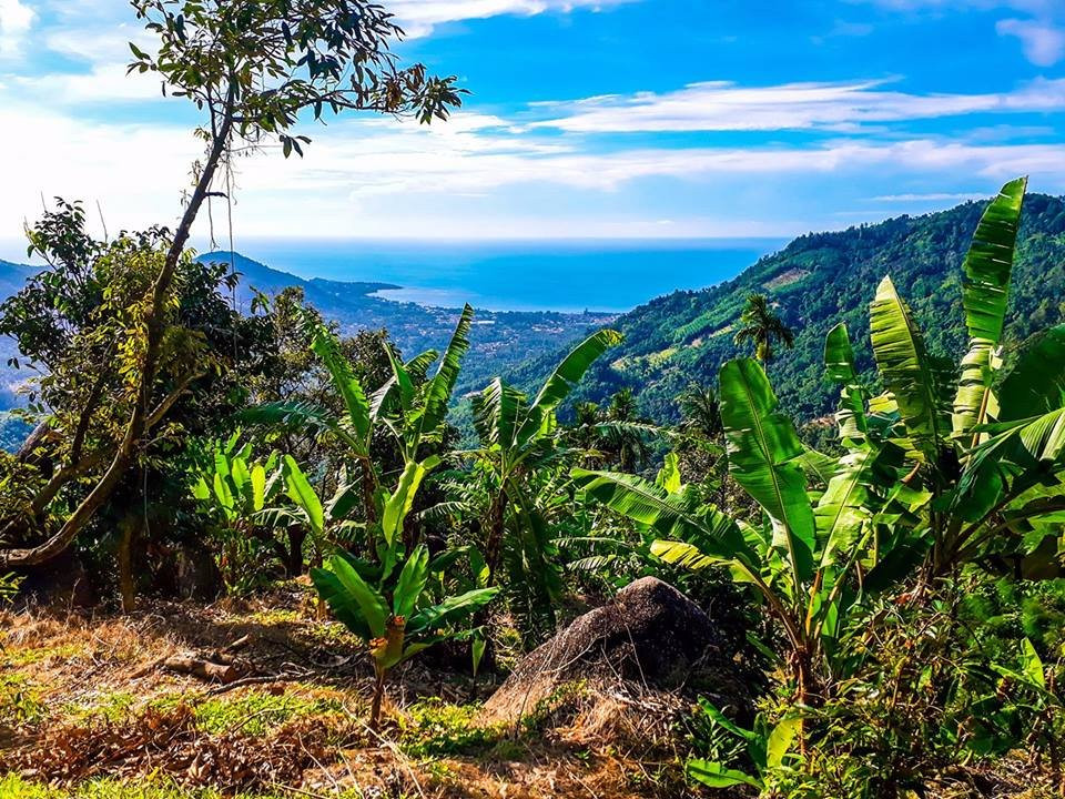 苏梅岛探险者-苏梅岛必去景点