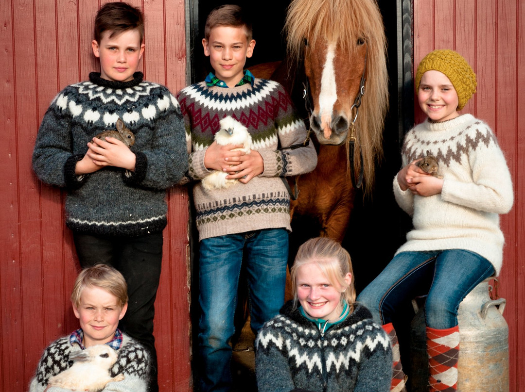 Hradastadir Horse Riding & Farm-莫斯费德斯拜尔必去景点