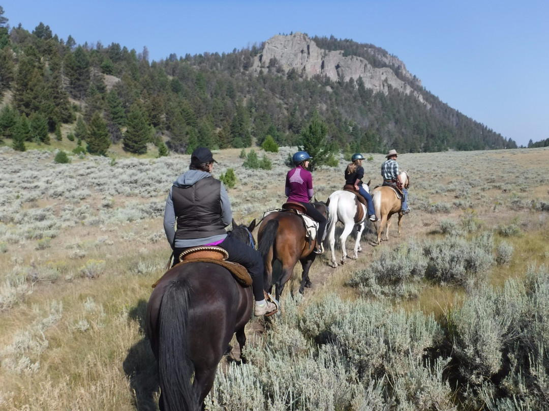 Wilderness Connection-加德纳必去景点