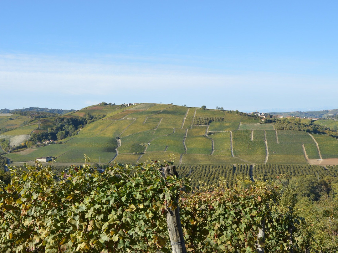 Azienda Vitivinicola Veglio Giovanni & Figli景点图片
