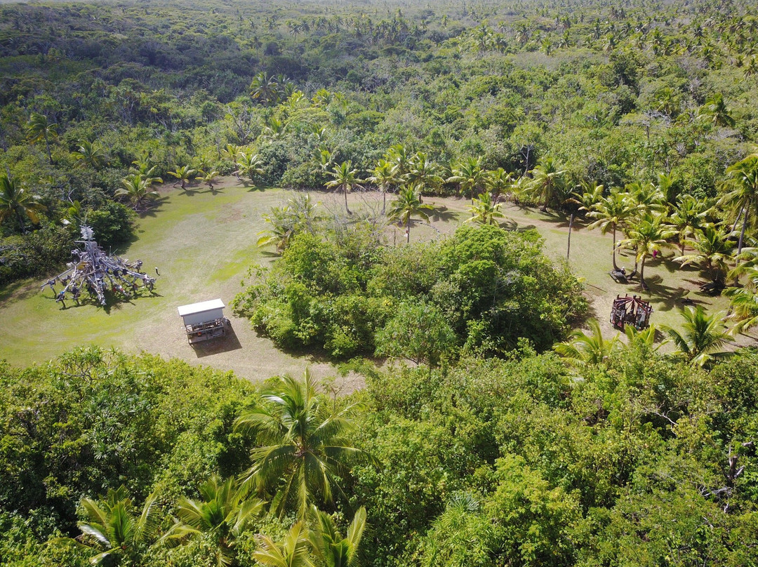 Hikulagi Sculpture Park Inc景点图片