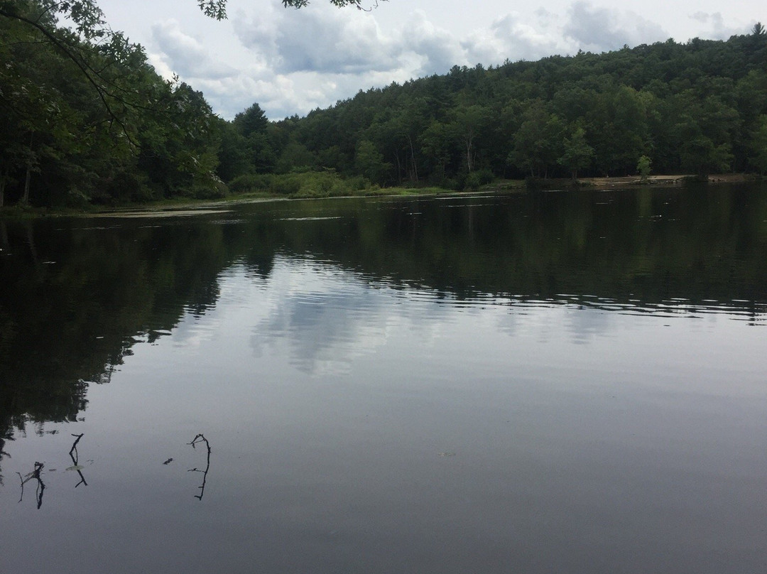 Puffer's Pond-艾姆赫斯特必去景点