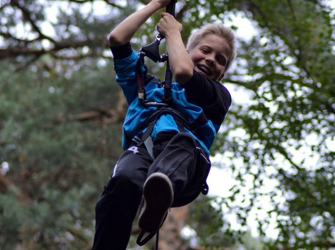 TreeTrek Wald Kletterpark景点图片