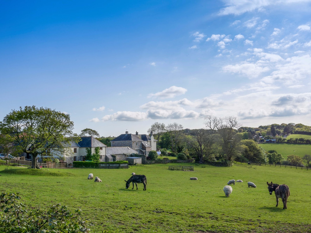 Tregongeeves Farm Cottages