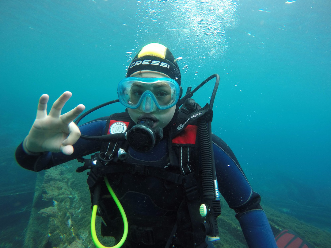 Flores Dive Center-Faja Grande必去景点