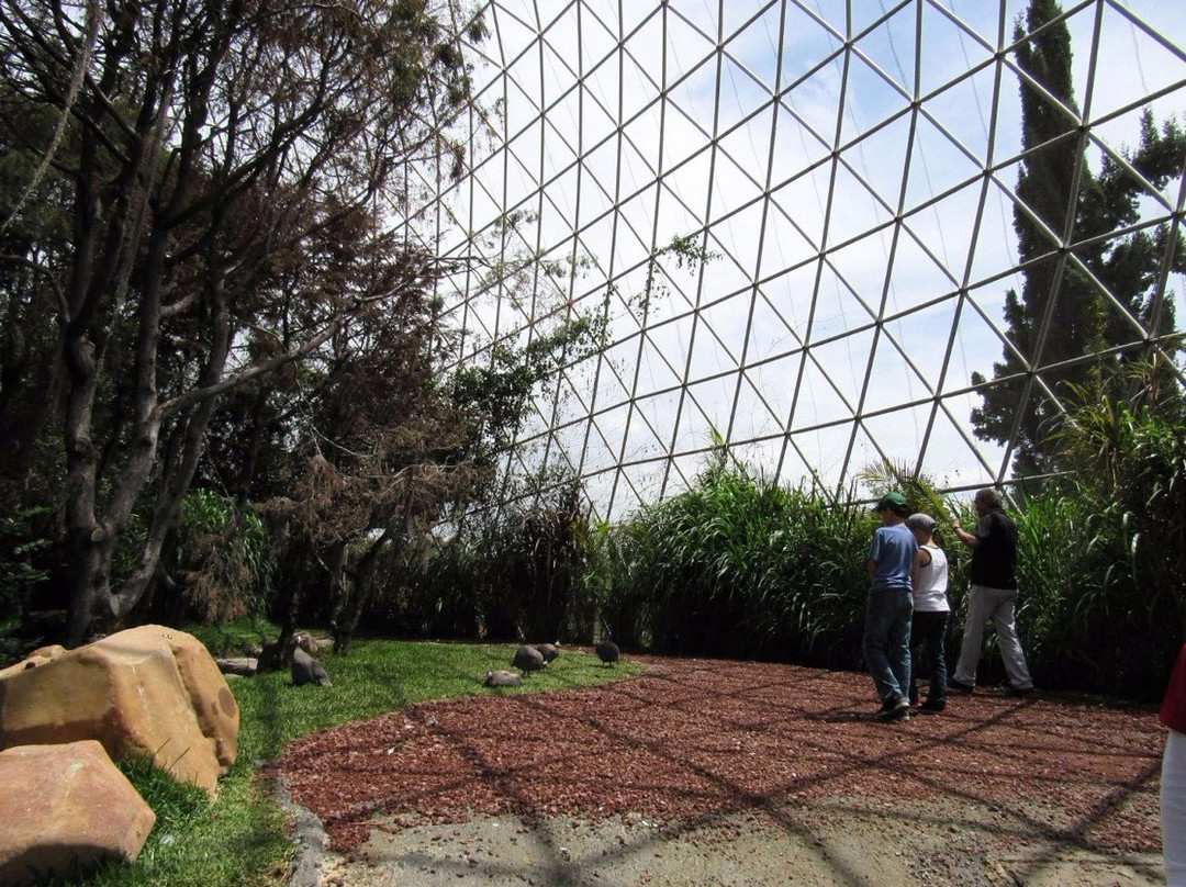 ArboTerra景点图片