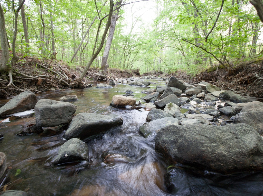 Hawn State Park-Sainte Genevieve必去景点